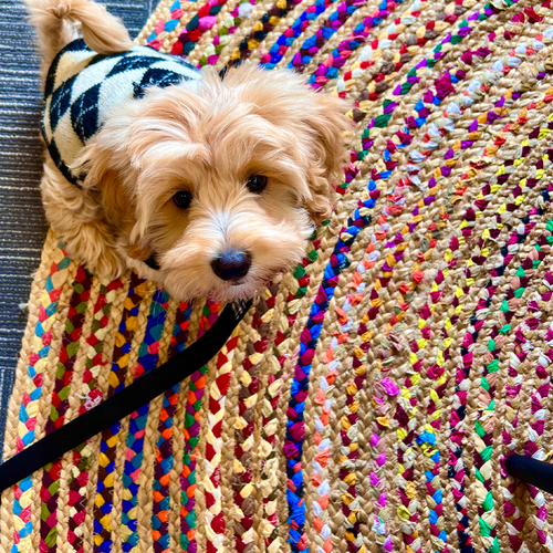 Chindi Jute, 1.8M