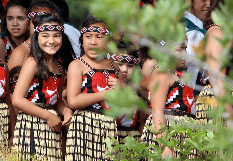 Waitangi Day in the Classroom