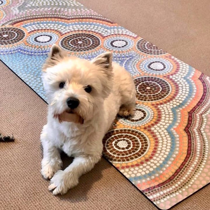 Why Our Eco-Friendly Mats Are a Pawsome Choice for Your Dog