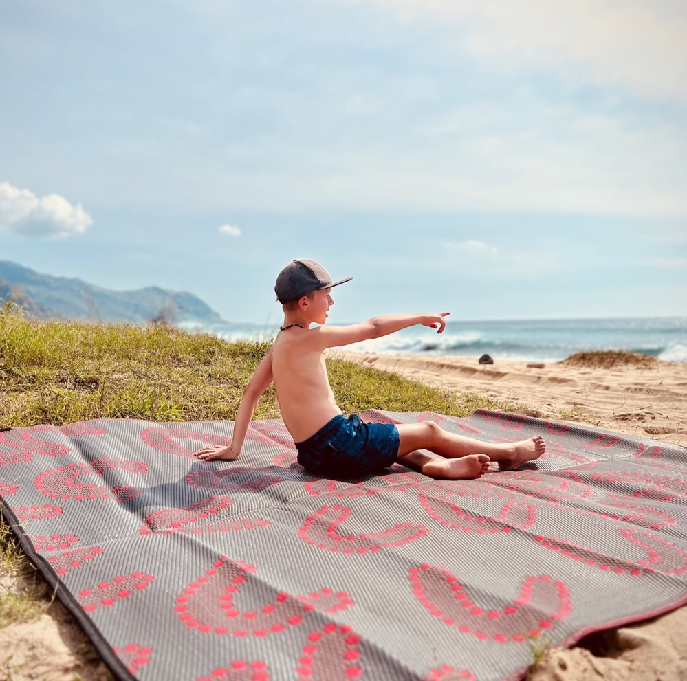Meeting Place Mat 1.8m x 2.7m - Red/Grey