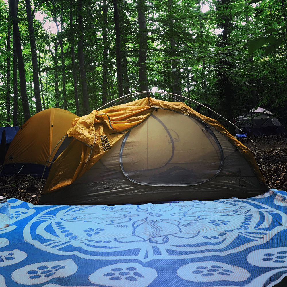 Turtle Season Mat 2.7m - Blue