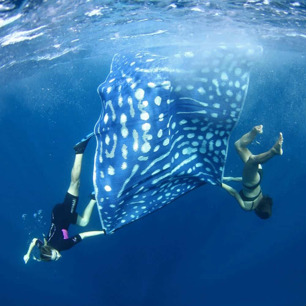 Ningaloo Whale Shark Mat 1.8m x 2.7m
